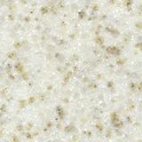 Galleria-gam-004-sandflower