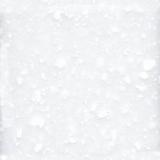 Trio-t-021-purearctic