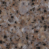 Tempest_whippoorwill_cmyk