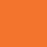 Supersolid-californiapoppy